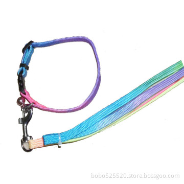 cheap pet collar and leash